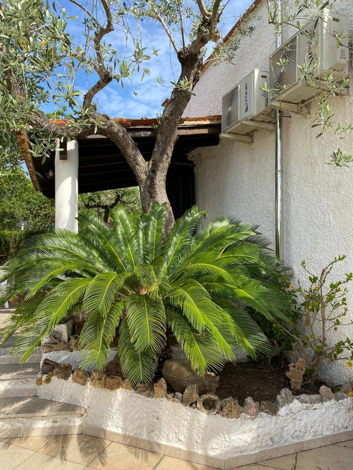 Domo Anghèleda la casa per le tue vacanze vicino al mare Alghero Esterno foto